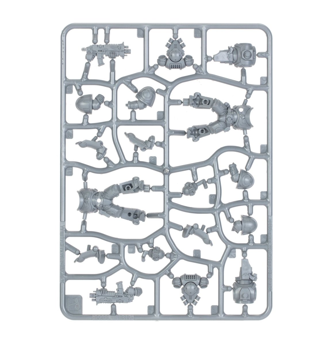Space Marines: Primaris Intercessors