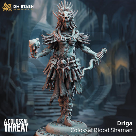 Driga - Colossal Blood Shaman Designed by DM Stash  Proxy minitures 32mm or 75mm scale Tabletop RPG Wargaming printed in one part
