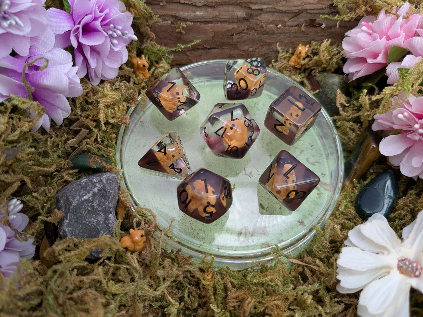 Squirrels Inclusion Dice Set