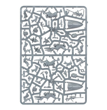Aeldari: Shroud Runners