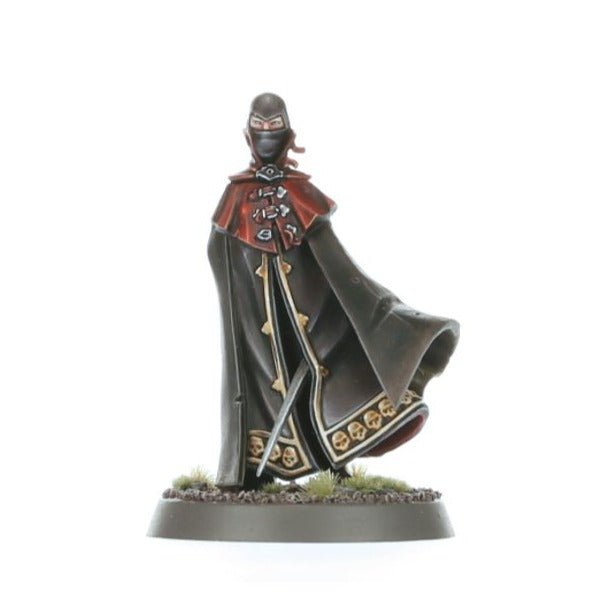 Cities of Sigmar: Freeguild Command Corps