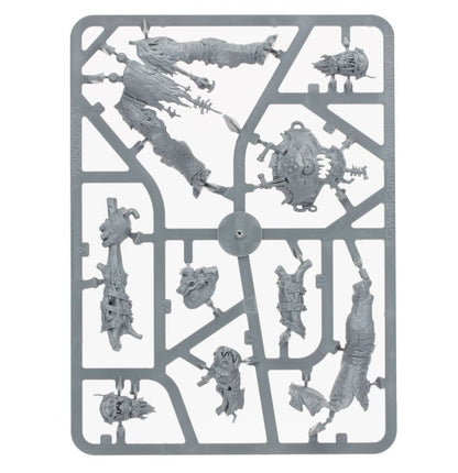 Orruk Warclans: Breaka-Boss On Mirebrute Troggoth