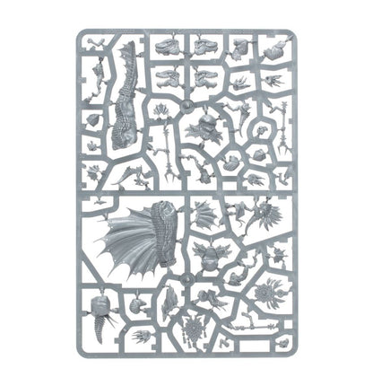 Seraphon: Spawn of Chotec
