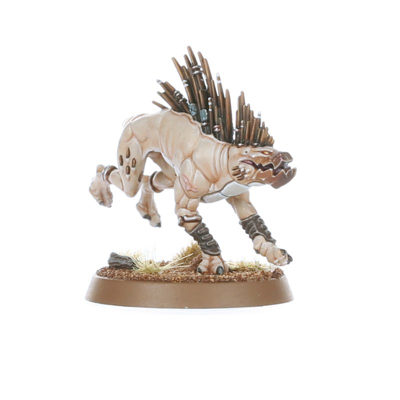 T'au Empire: Kroot Hounds