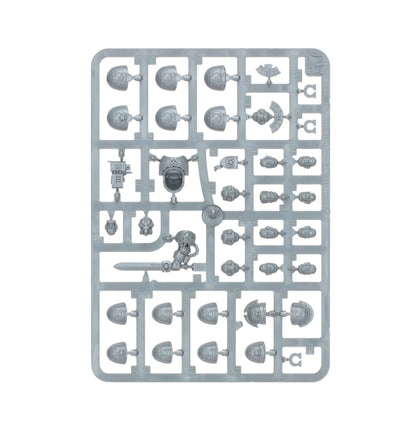 Ultramarines: Upgrades and Transfers
